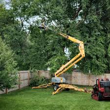 Best Lawn Watering Services  in Walden, TN